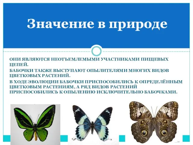 они являются неотъемлемыми участниками пищевых цепей. Бабочки также выступают опылителями многих