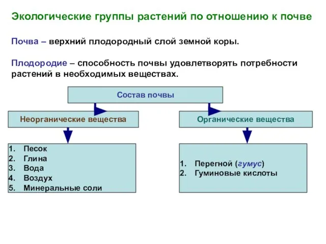 Экологические группы растений по отношению к почве Почва – верхний плодородный