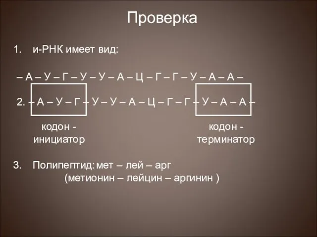 Проверка и-РНК имеет вид: – А – У – Г –