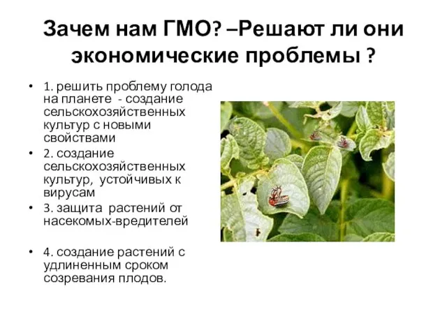 Зачем нам ГМО? –Решают ли они экономические проблемы ? 1. решить