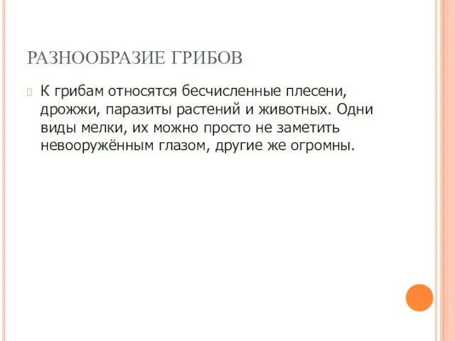 РАЗНООБРАЗИЕ ГРИБОВ К грибам относятся бесчисленные плесени, дрожжи, паразиты растений и