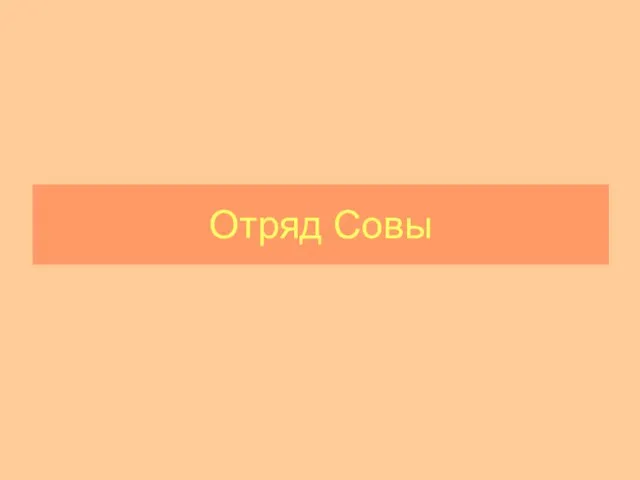 Отряд Совы