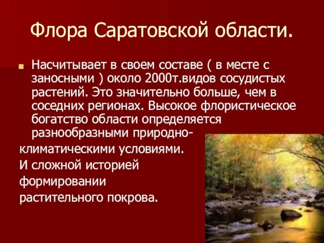 Флора Саратовской области. Насчитывает в своем составе ( в месте с