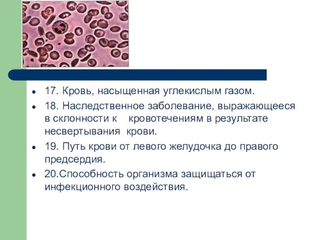 17. Кровь, насыщенная углекислым газом. 18. Наследственное заболевание, выражающееся в склонности