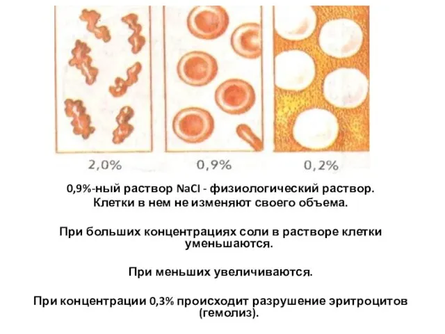 0,9%-ный раствор NaCI - физиологический раствор. Клетки в нем не изменяют