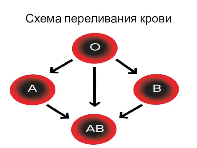 Схема переливания крови