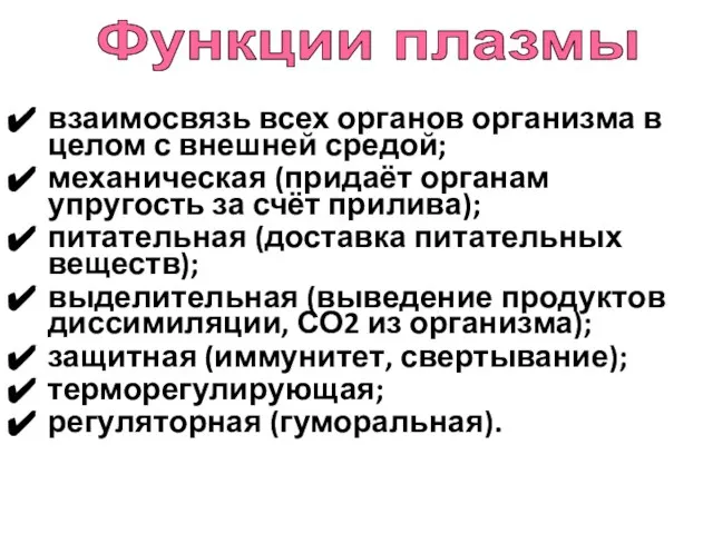 взаимосвязь всех органов организма в целом с внешней средой; механическая (придаёт