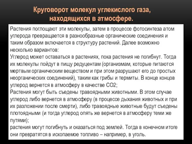 Круговорот молекул углекислого газа, находящихся в атмосфере. Растения поглощают эти молекулы,