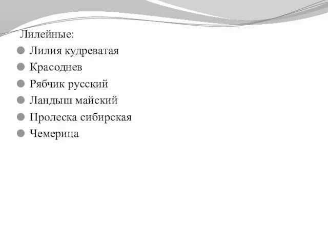 Лилейные: Лилия кудреватая Красоднев Рябчик русский Ландыш майский Пролеска сибирская Чемерица