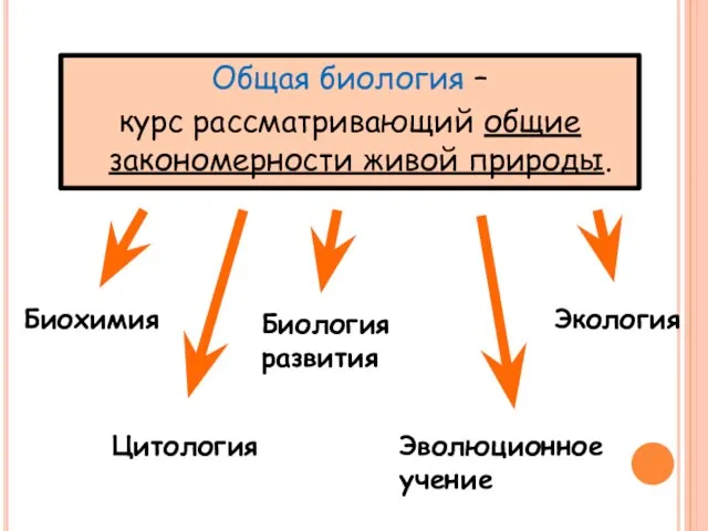 Общая биология – курс рассматривающий общие закономерности живой природы. Биохимия Цитология Биология развития Эволюционное учение Экология