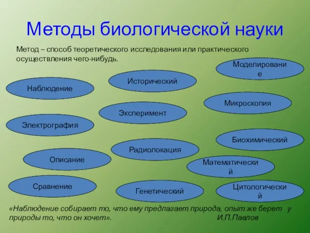 Методы биологической науки Описание Сравнение Моделирование Генетический Цитологический Биохимический Эксперимент Наблюдение