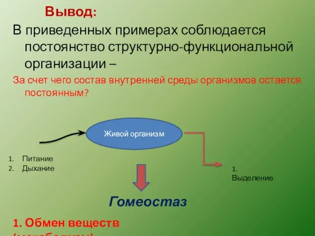 Вывод: В приведенных примерах соблюдается постоянство структурно-функциональной организации – За счет