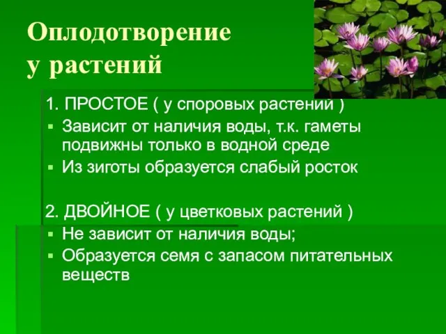 Оплодотворение у растений 1. ПРОСТОЕ ( у споровых растений ) Зависит