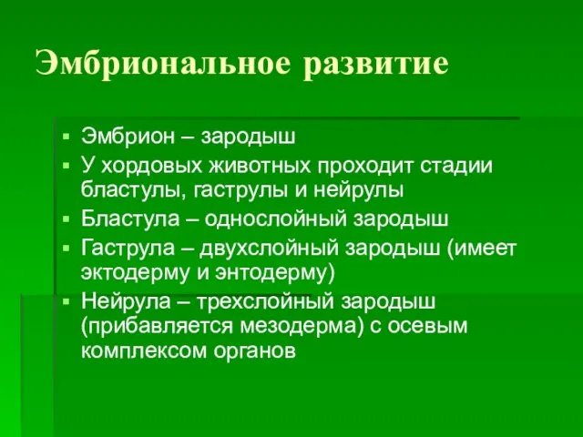 Эмбриональное развитие Эмбрион – зародыш У хордовых животных проходит стадии бластулы,