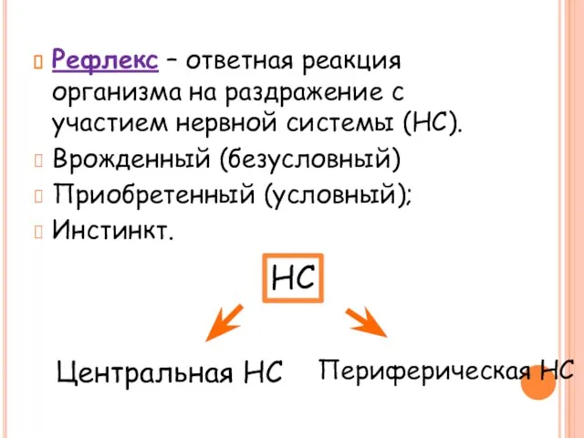 Рефлекс – ответная реакция организма на раздражение с участием нервной системы