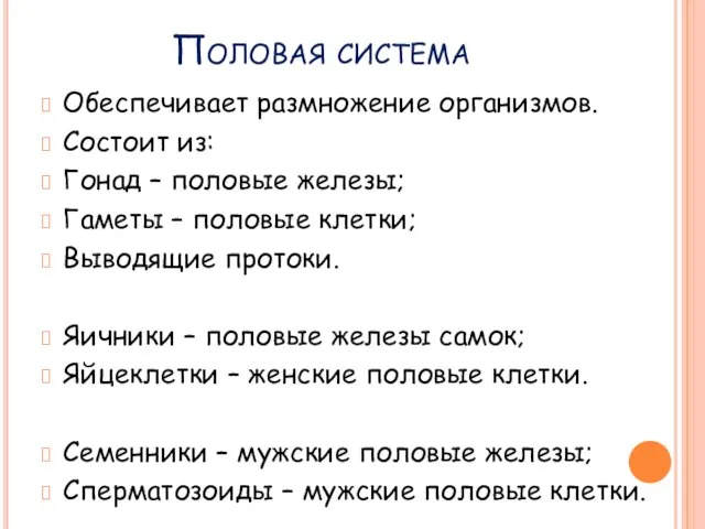 Половая система Обеспечивает размножение организмов. Состоит из: Гонад – половые железы;