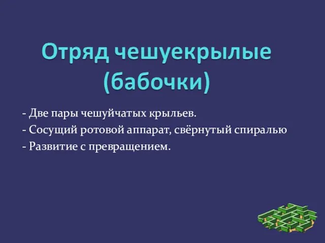 - Две пары чешуйчатых крыльев. - Сосущий ротовой аппарат, свёрнутый спиралью - Развитие с превращением.