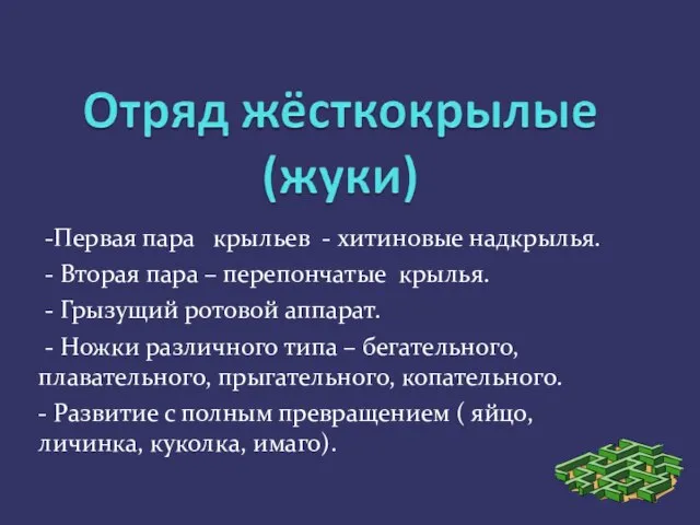 -Первая пара крыльев - хитиновые надкрылья. - Вторая пара – перепончатые