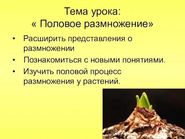 Тема урока: « Половое размножение» Расширить представления о размножении Познакомиться с