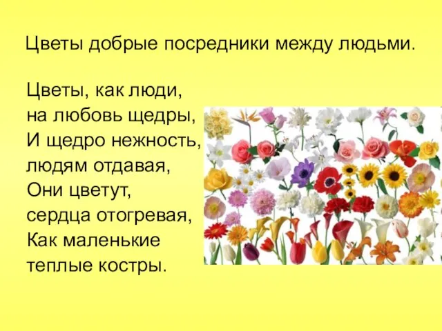 Цветы добрые посредники между людьми. Цветы, как люди, на любовь щедры,