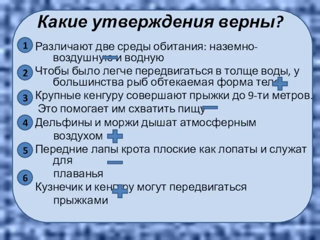 Различают две среды обитания: наземно-воздушную и водную Чтобы было легче передвигаться