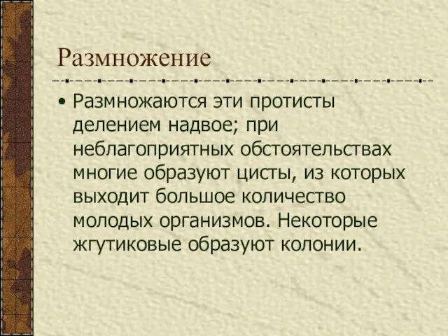 Размножение Размножаются эти протисты делением надвое; при неблагоприятных обстоятельствах многие образуют