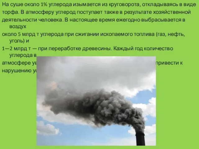 На суше около 1% углерода изымается из круговорота, откладываясь в виде