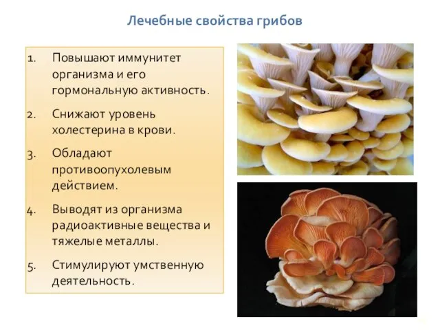 Лечебные свойства грибов Повышают иммунитет организма и его гормональную активность. Снижают