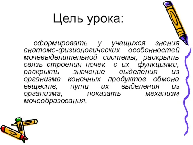 Цель урока: сформировать у учащихся знания анатомо-физиологических особенностей мочевыделительной системы; раскрыть