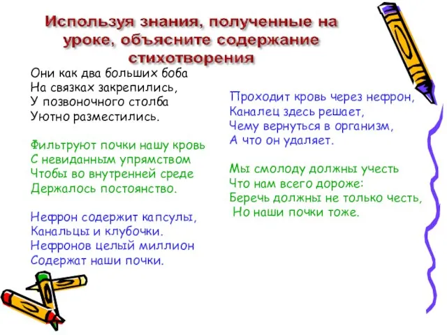 Проходит кровь через нефрон, Каналец здесь решает, Чему вернуться в организм,