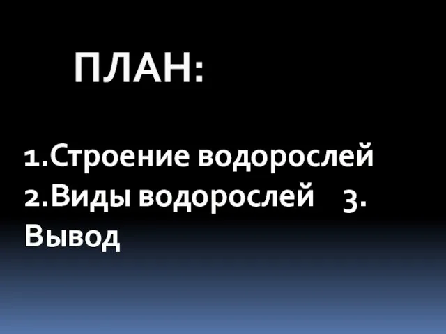 1.Строение водорослей 2.Виды водорослей 3.Вывод ПЛАН: