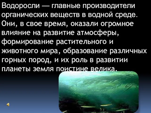 Водоросли — главные производители органических веществ в водной среде. Они, в