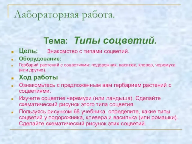 Лабораторная работа. Тема: Типы соцветий. Цель: Знакомство с типами соцветий. Оборудование: