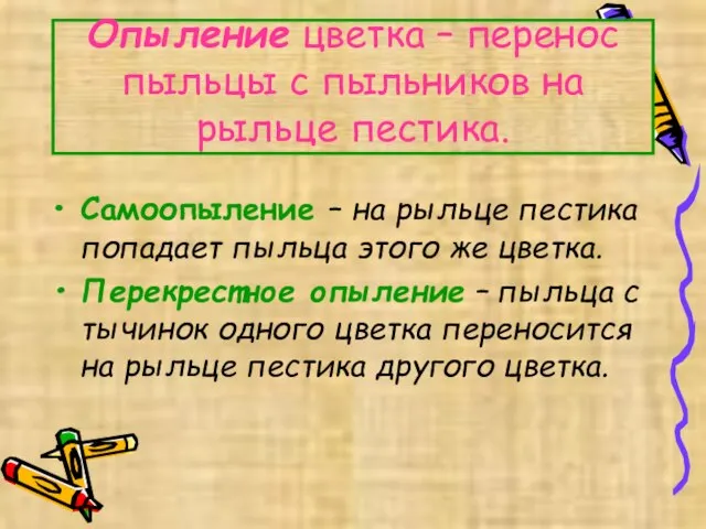 Опыление цветка – перенос пыльцы с пыльников на рыльце пестика. Самоопыление