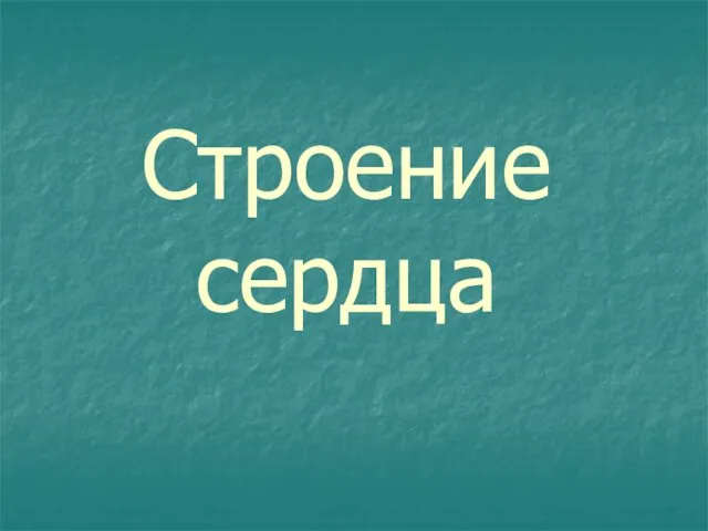 Строение сердца