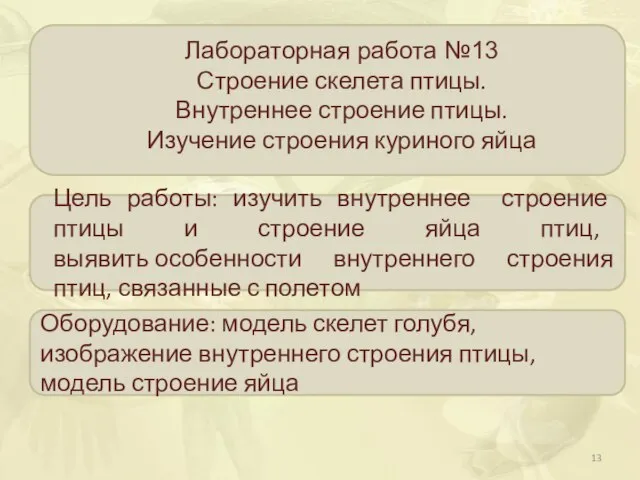 Цель работы: изучить внутреннее строение птицы и строение яйца птиц, выявить