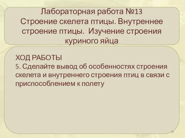 Лабораторная работа №13 Строение скелета птицы. Внутреннее строение птицы. Изучение строения куриного яйца