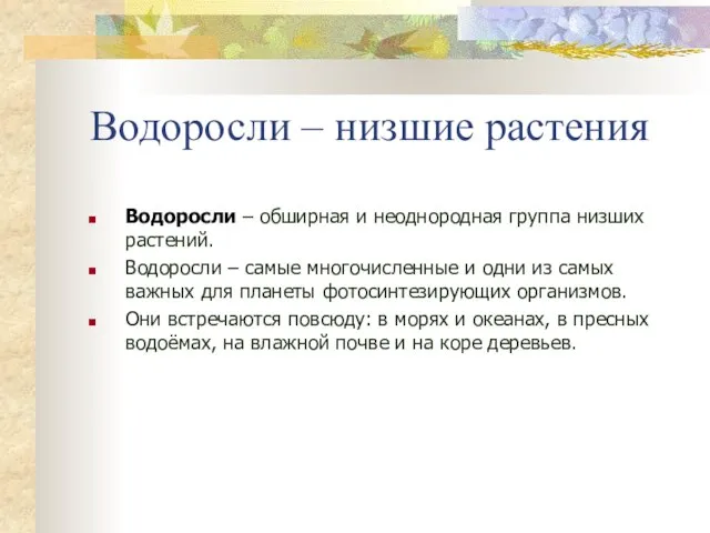 Водоросли – низшие растения Водоросли – обширная и неоднородная группа низших