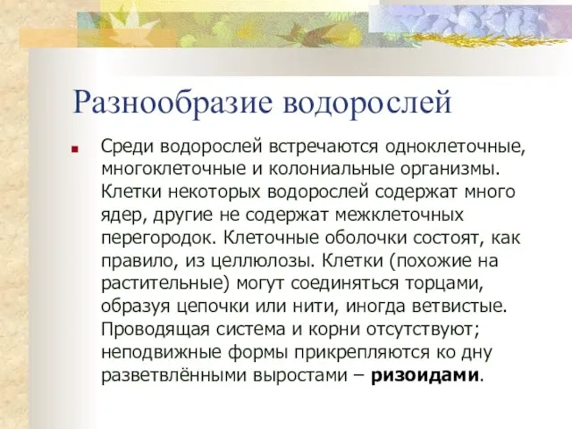 Разнообразие водорослей Среди водорослей встречаются одноклеточные, многоклеточные и колониальные организмы. Клетки