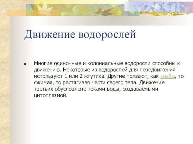 Движение водорослей Многие одиночные и колониальные водоросли способны к движению. Некоторые