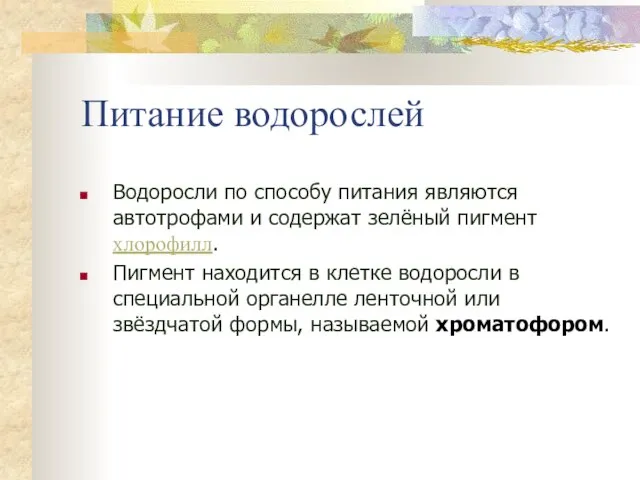 Питание водорослей Водоросли по способу питания являются автотрофами и содержат зелёный