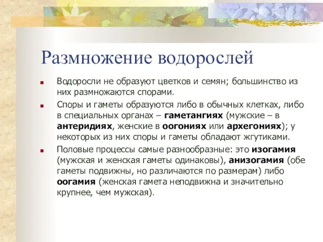 Размножение водорослей Водоросли не образуют цветков и семян; большинство из них