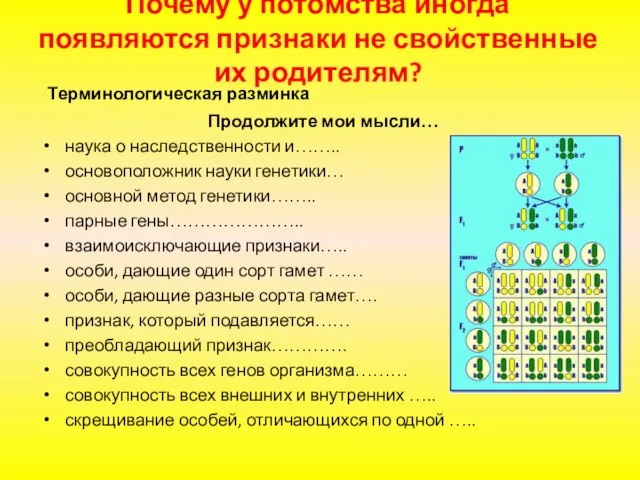 Почему у потомства иногда появляются признаки не свойственные их родителям? Терминологическая