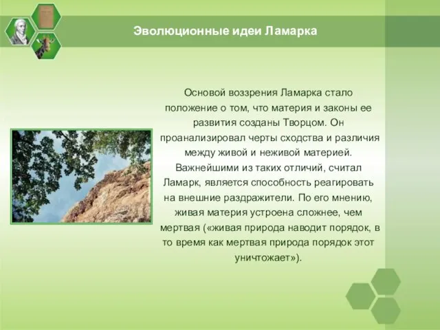 Эволюционные идеи Ламарка Основой воззрения Ламарка стало положение о том, что