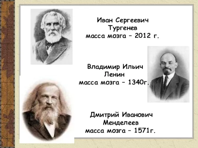 Иван Сергеевич Тургенев масса мозга – 2012 г. Владимир Ильич Ленин