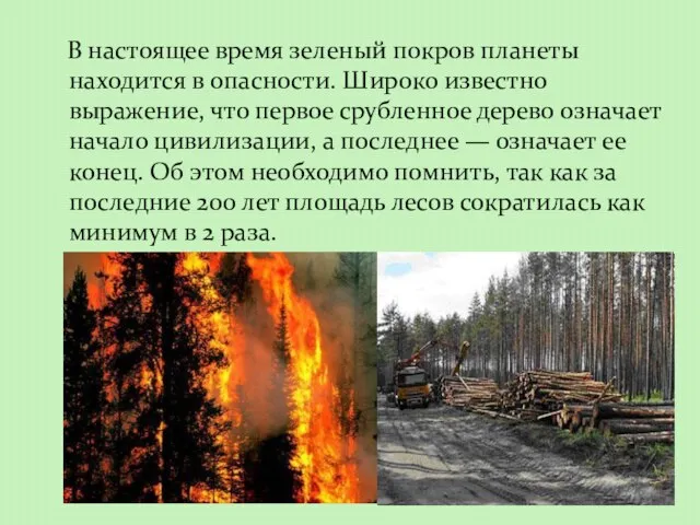 В настоящее время зеленый покров планеты находится в опасности. Широко известно