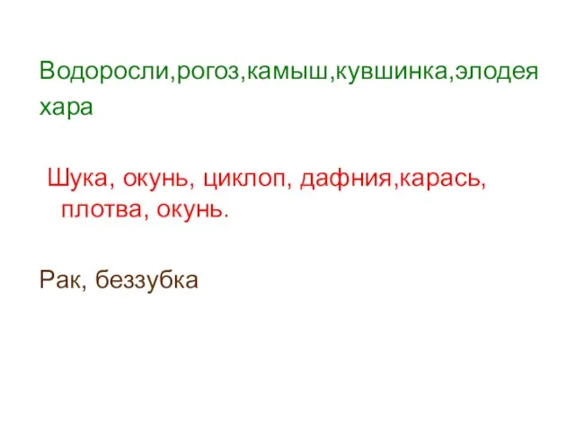 Водоросли,рогоз,камыш,кувшинка,элодея хара Шука, окунь, циклоп, дафния,карась, плотва, окунь. Рак, беззубка