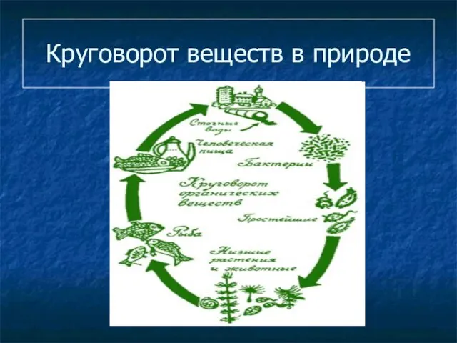 Круговорот веществ в природе