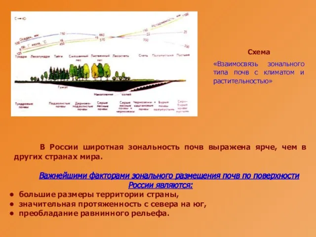 В России широтная зональность почв выражена ярче, чем в других странах