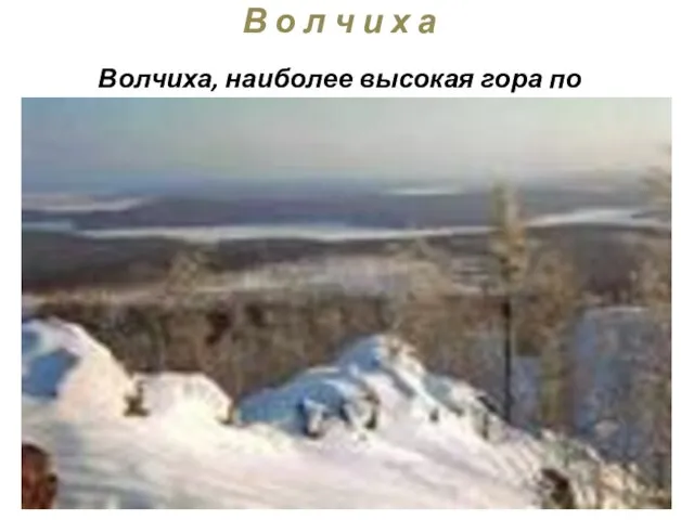 В о л ч и х а Волчиха, наиболее высокая гора